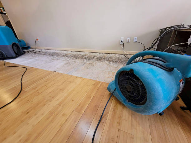 Professional Structural Drying technician working in Perryville, MD